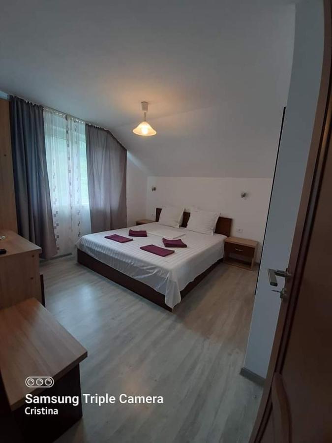 ホテル Casa Trache Călimăneşti エクステリア 写真