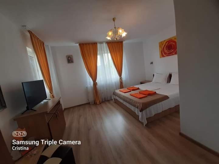ホテル Casa Trache Călimăneşti エクステリア 写真