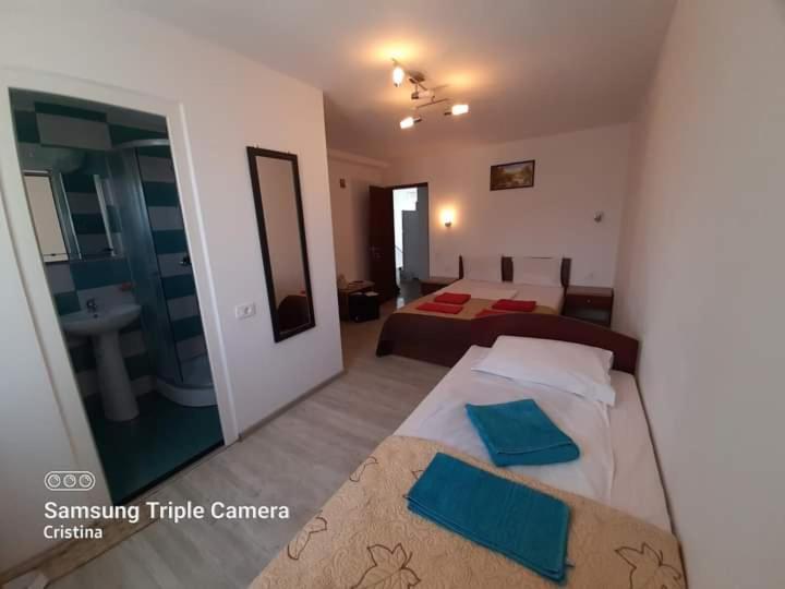 ホテル Casa Trache Călimăneşti エクステリア 写真