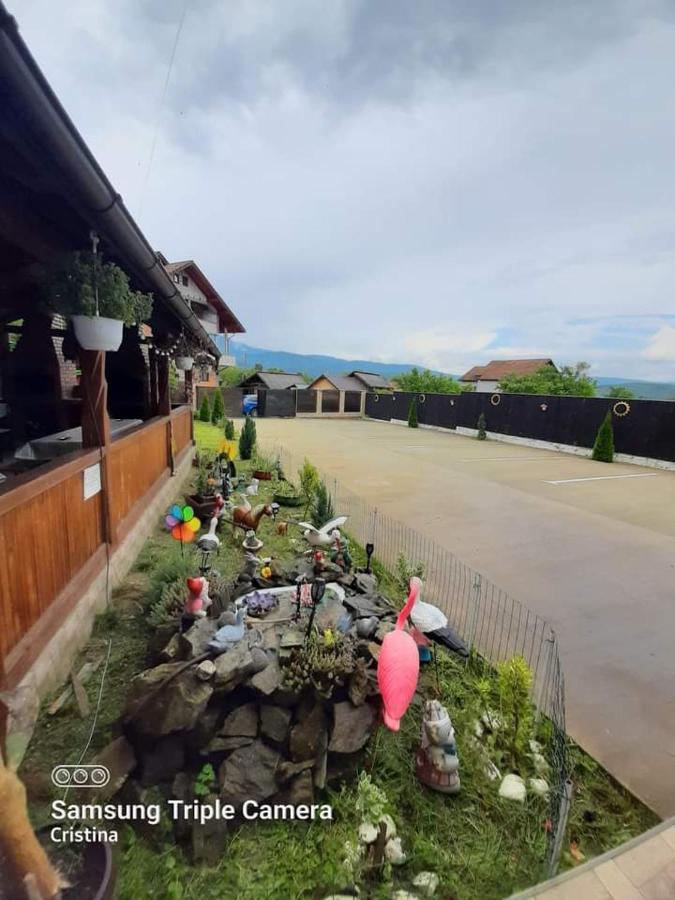 ホテル Casa Trache Călimăneşti エクステリア 写真