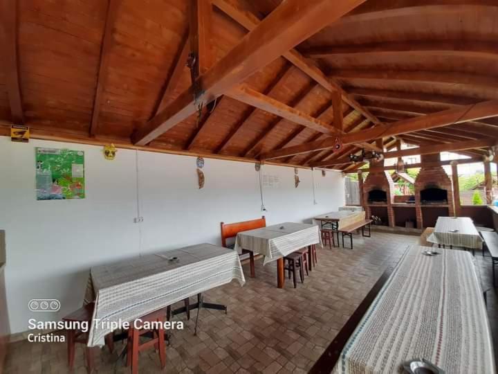 ホテル Casa Trache Călimăneşti エクステリア 写真