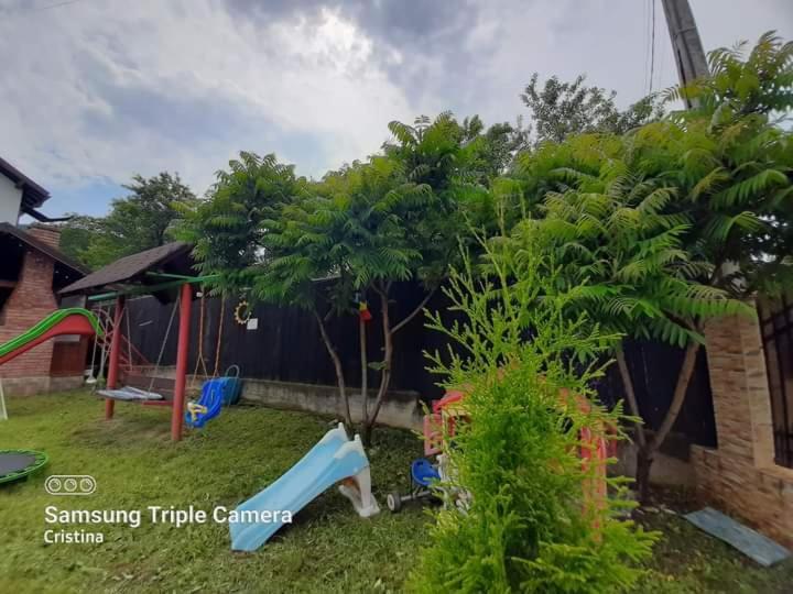 ホテル Casa Trache Călimăneşti エクステリア 写真