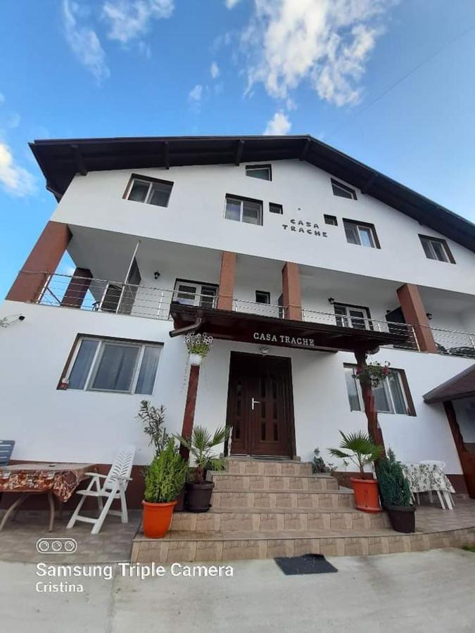 ホテル Casa Trache Călimăneşti エクステリア 写真