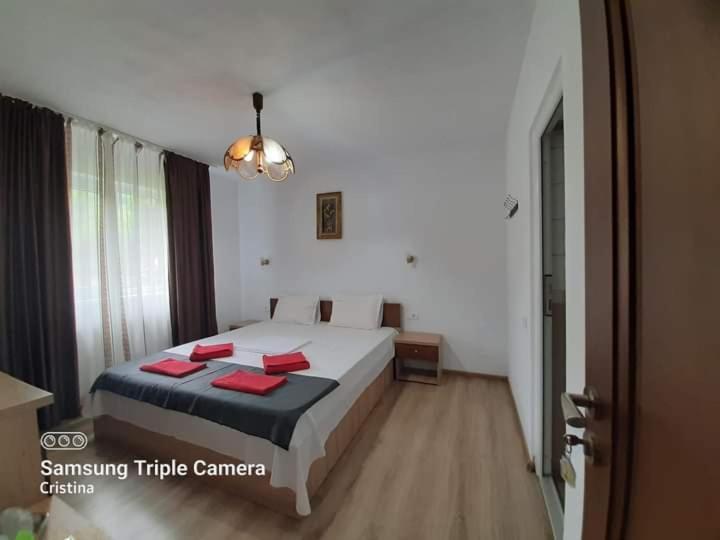 ホテル Casa Trache Călimăneşti エクステリア 写真