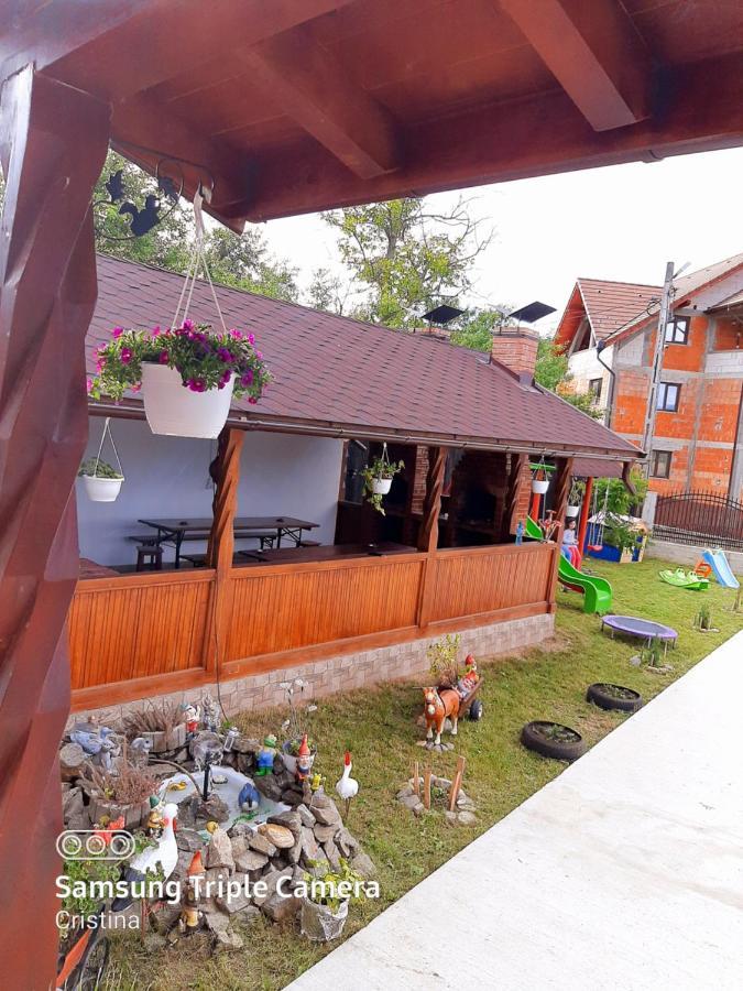 ホテル Casa Trache Călimăneşti エクステリア 写真