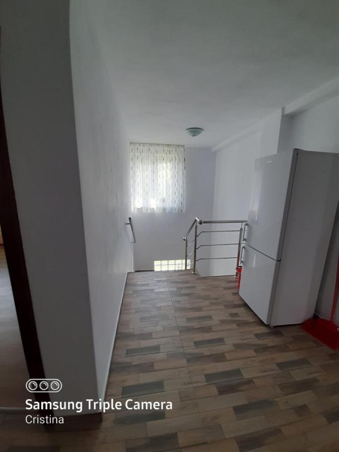 ホテル Casa Trache Călimăneşti エクステリア 写真