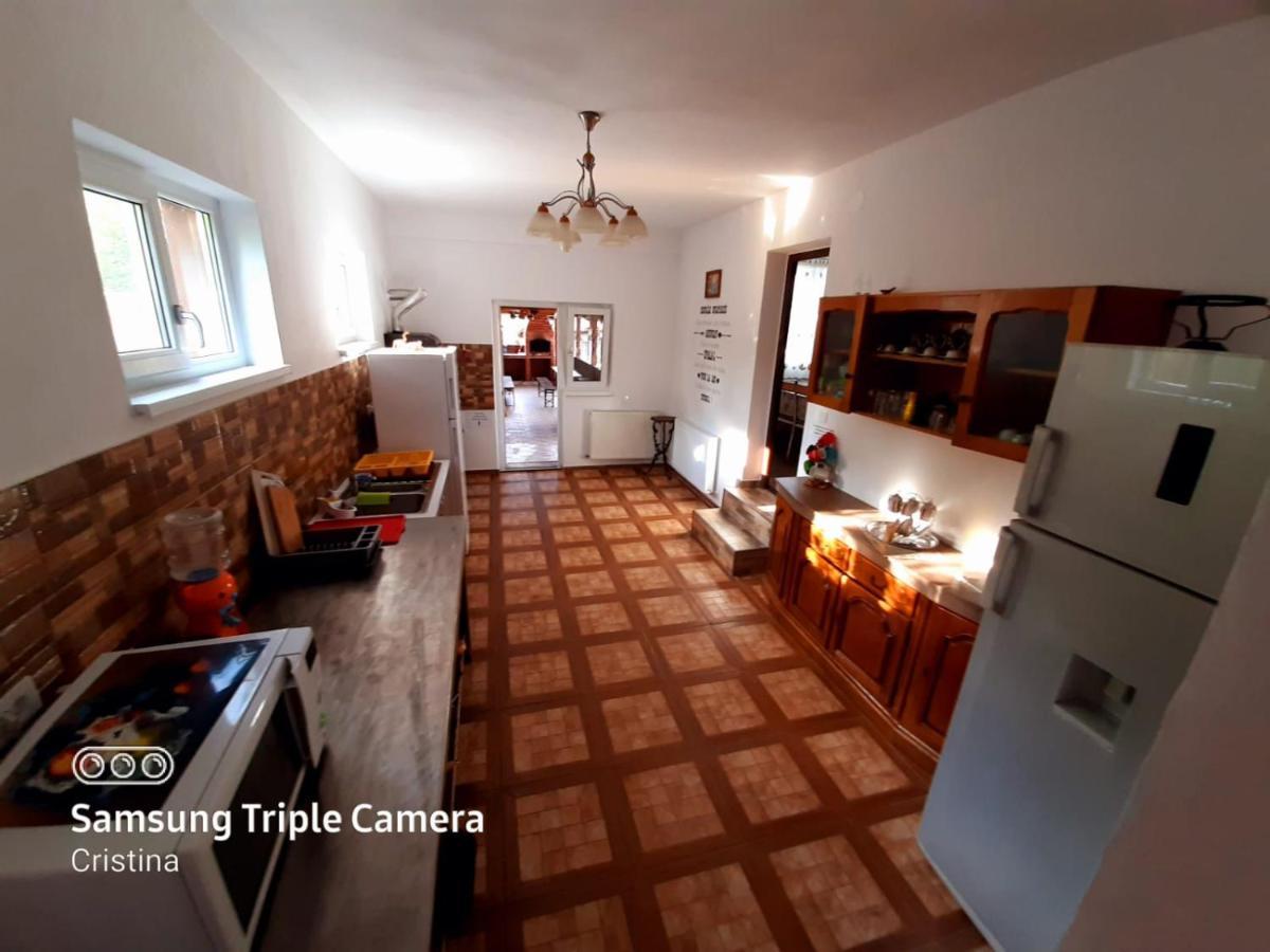 ホテル Casa Trache Călimăneşti エクステリア 写真