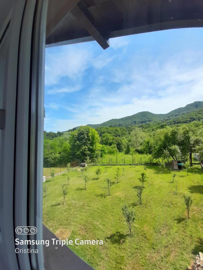 ホテル Casa Trache Călimăneşti エクステリア 写真