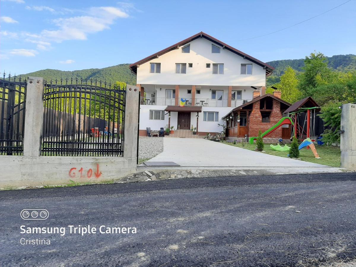ホテル Casa Trache Călimăneşti エクステリア 写真