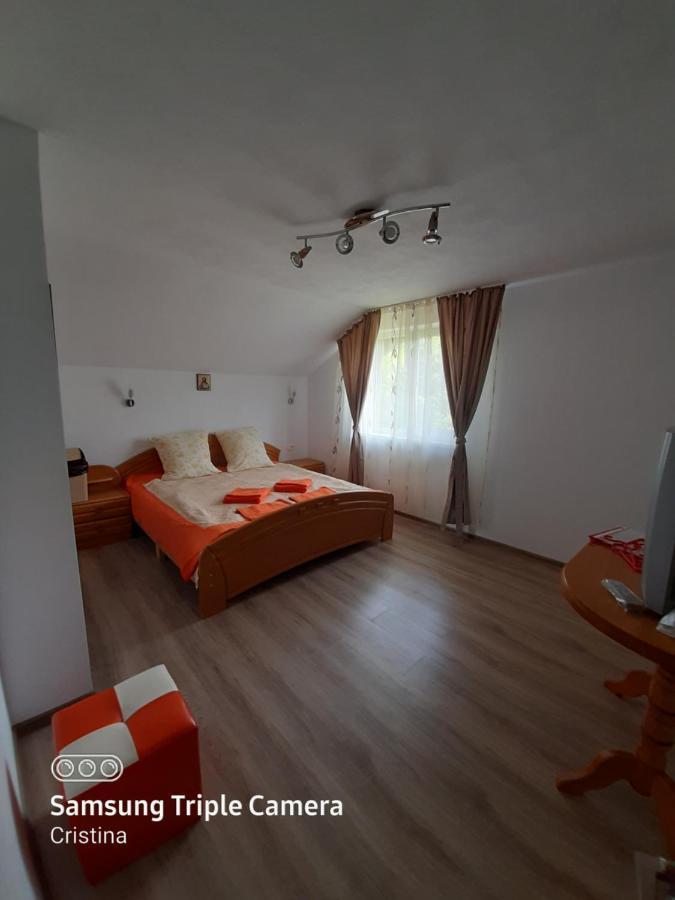 ホテル Casa Trache Călimăneşti エクステリア 写真
