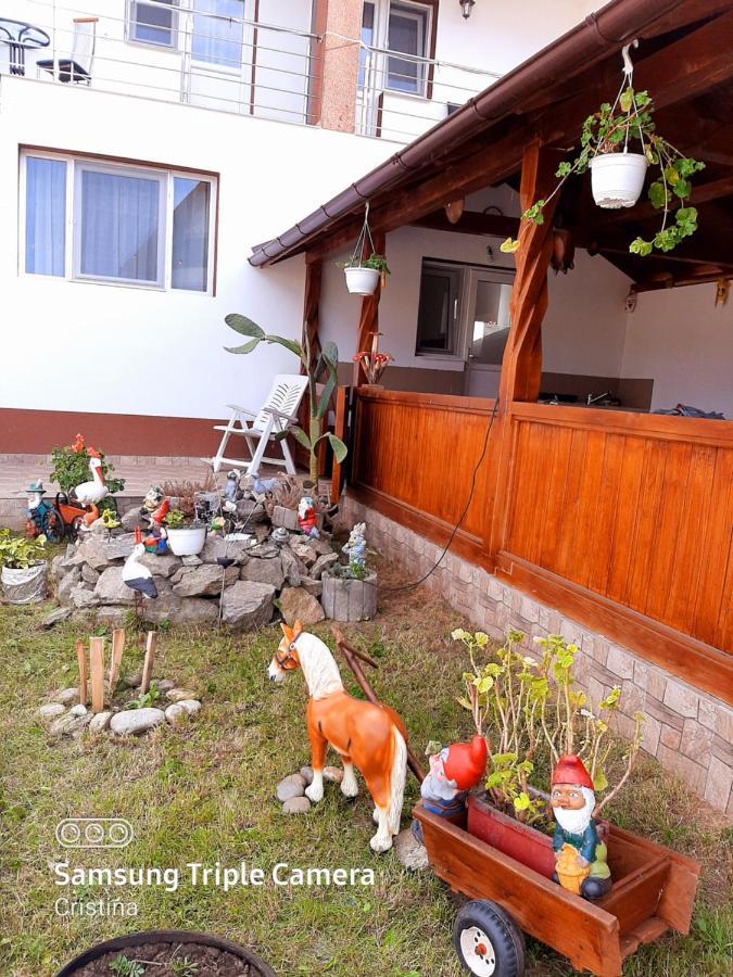 ホテル Casa Trache Călimăneşti エクステリア 写真