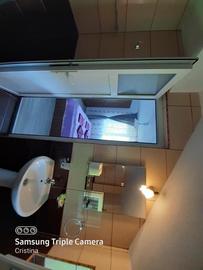 ホテル Casa Trache Călimăneşti エクステリア 写真