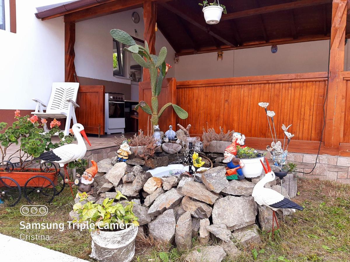 ホテル Casa Trache Călimăneşti エクステリア 写真